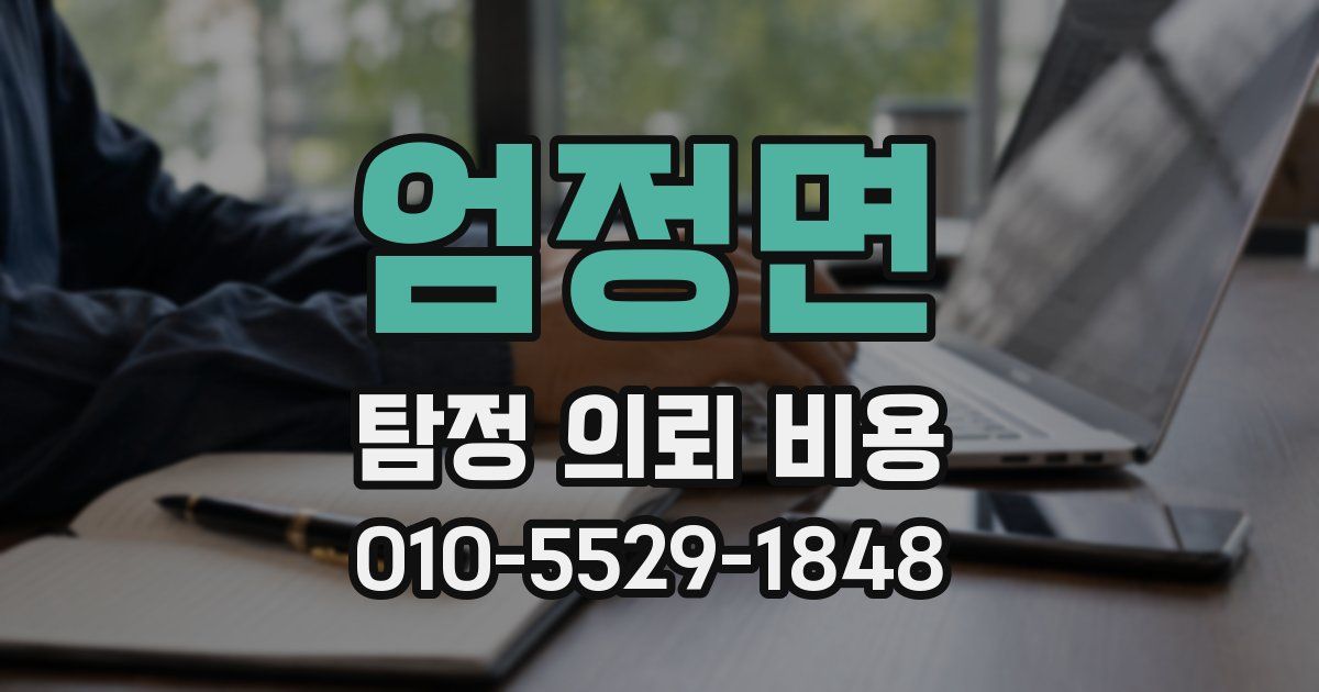 엄정면 탐정 의뢰 비용