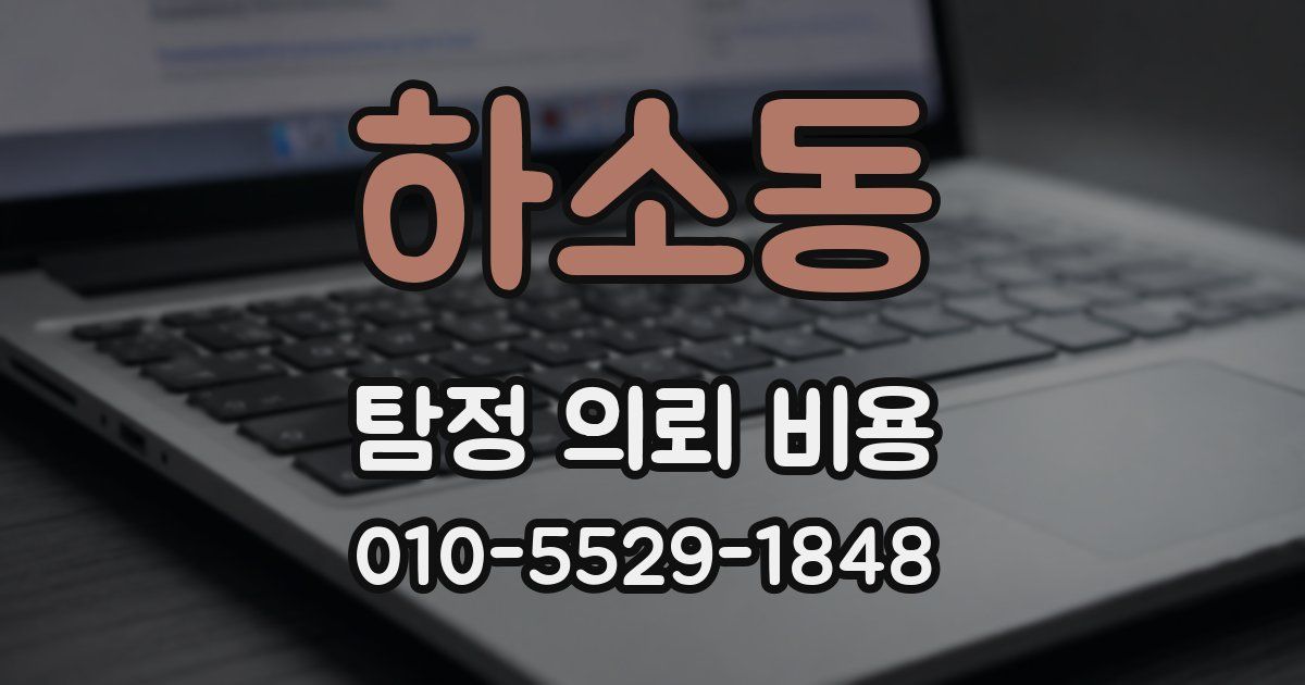 하소동 탐정 의뢰 비용