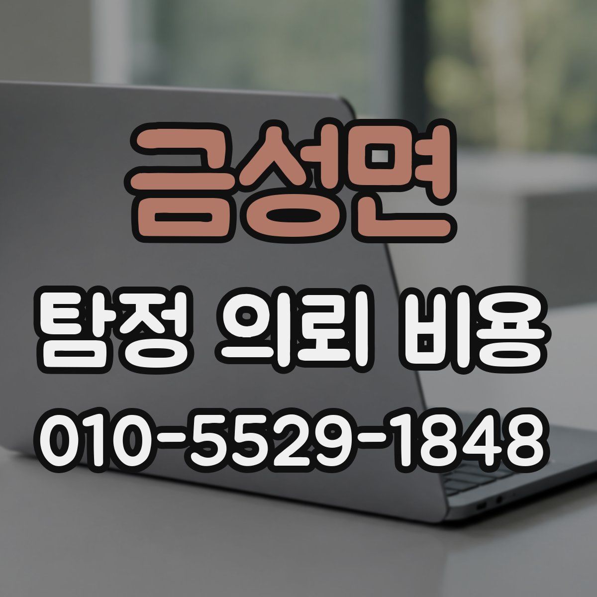 금성면 탐정 의뢰 비용
