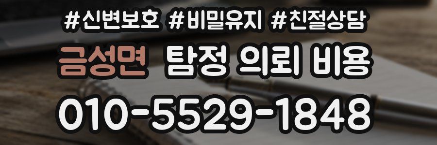 금성면 탐정 의뢰 비용