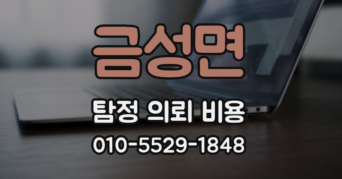 금성면 탐정 의뢰 비용