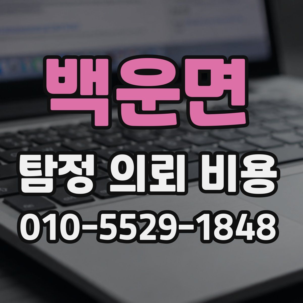 백운면 탐정 의뢰 비용