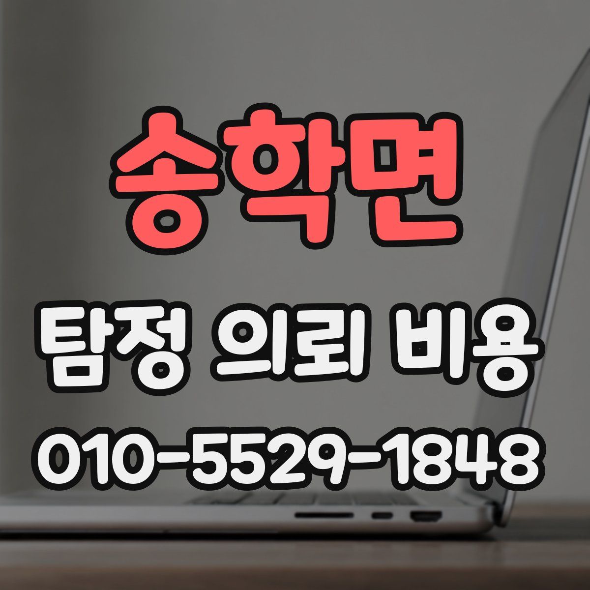 송학면 탐정 의뢰 비용