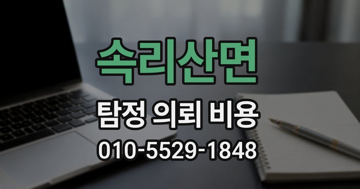 속리산면 탐정 의뢰 비용