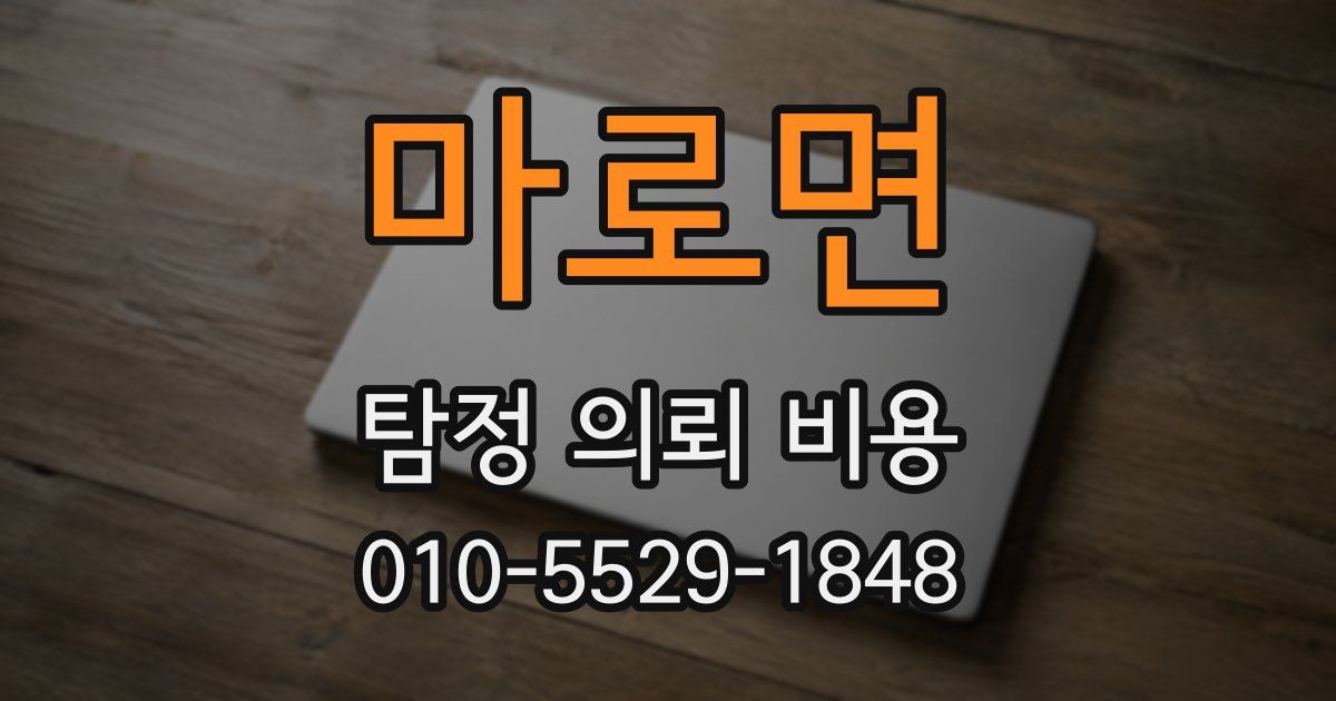 마로면 탐정 의뢰 비용