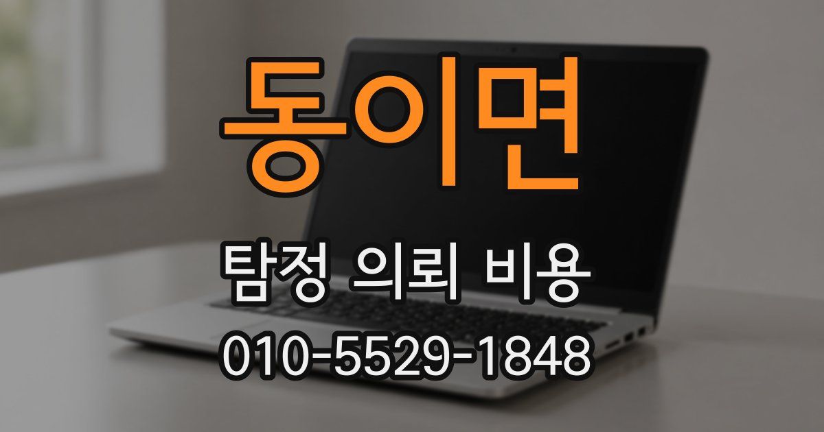 동이면 탐정 의뢰 비용