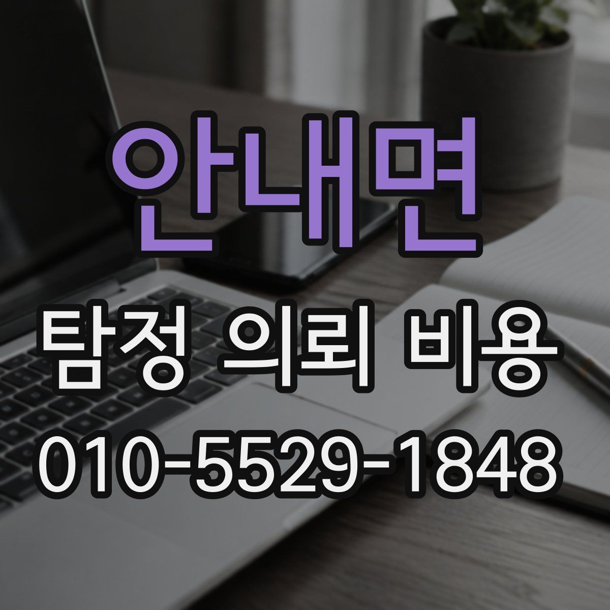 안내면 탐정 의뢰 비용
