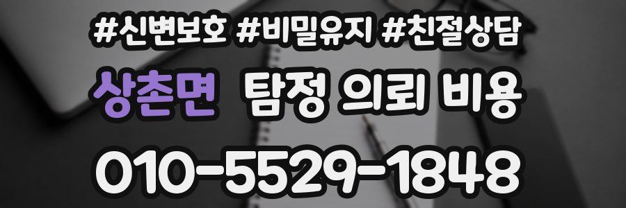 상촌면 탐정 의뢰 비용