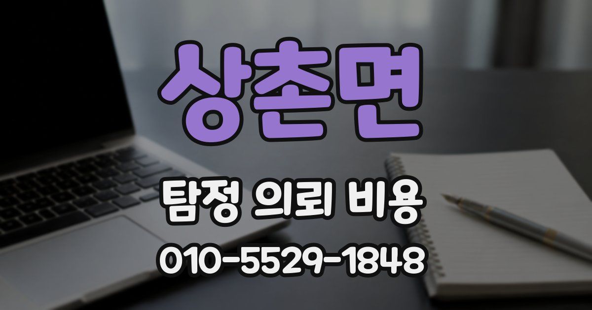 상촌면 탐정 의뢰 비용