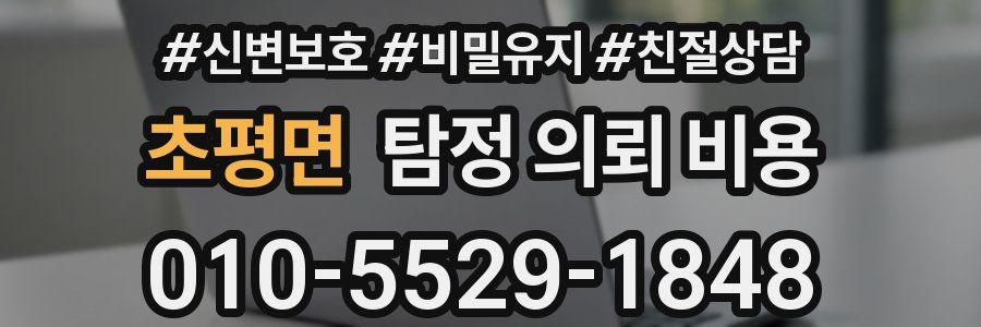 초평면 탐정 의뢰 비용