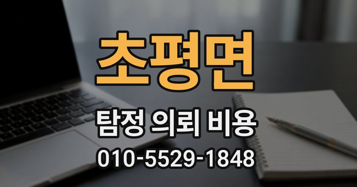 초평면 탐정 의뢰 비용