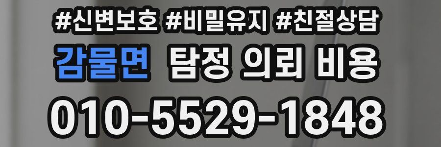 감물면 탐정 의뢰 비용
