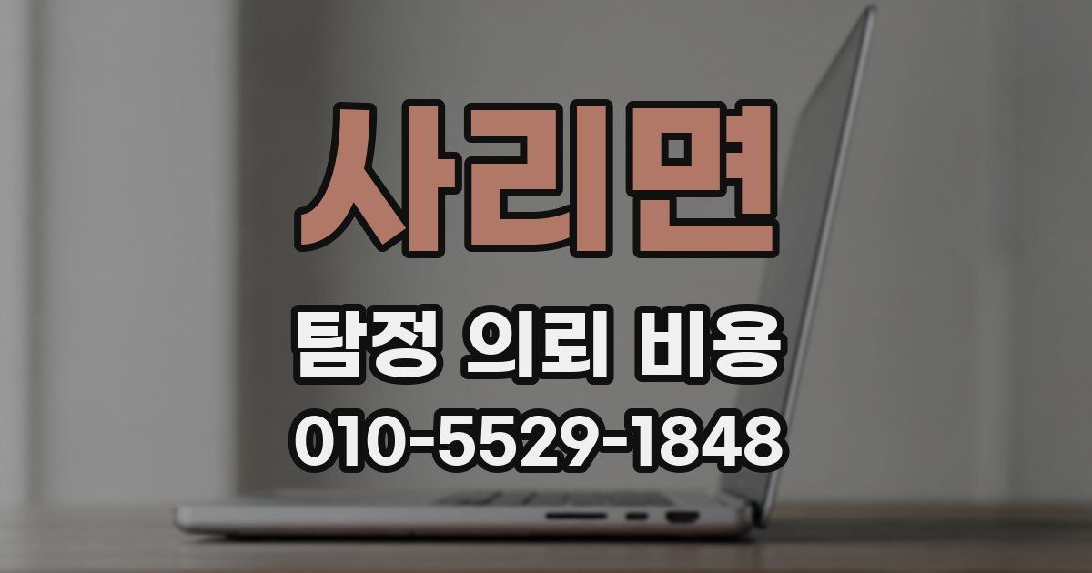 사리면 탐정 의뢰 비용
