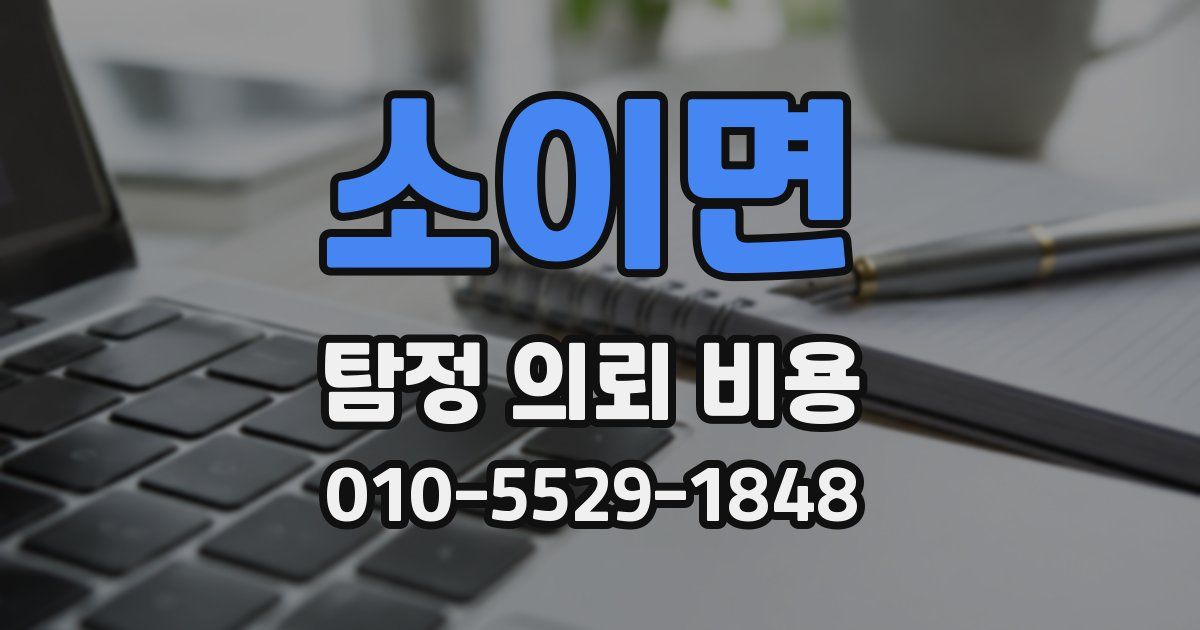 소이면 탐정 의뢰 비용
