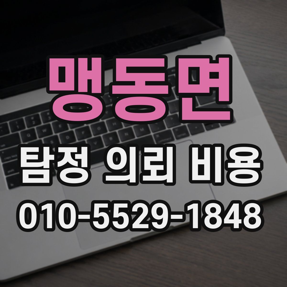 맹동면 탐정 의뢰 비용