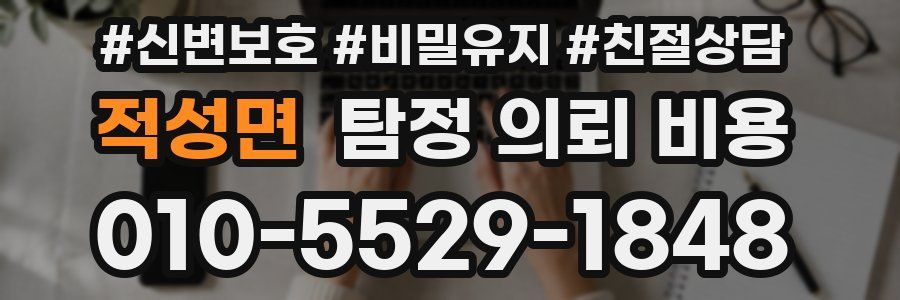 적성면 탐정 의뢰 비용