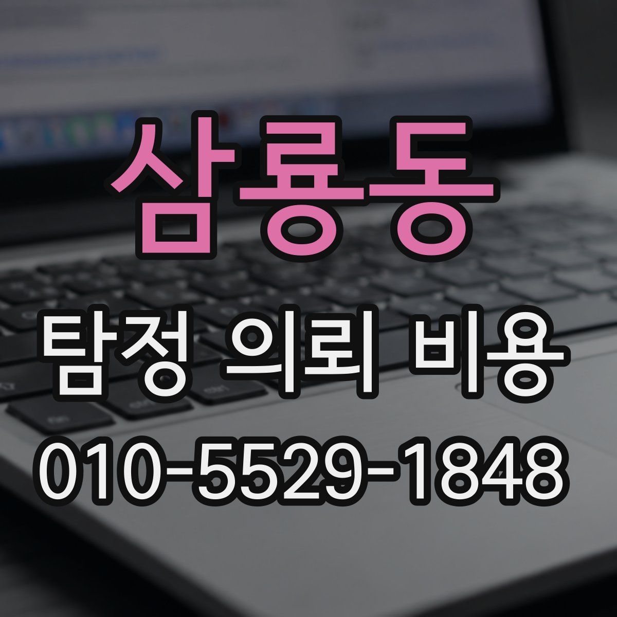 삼룡동 탐정 의뢰 비용