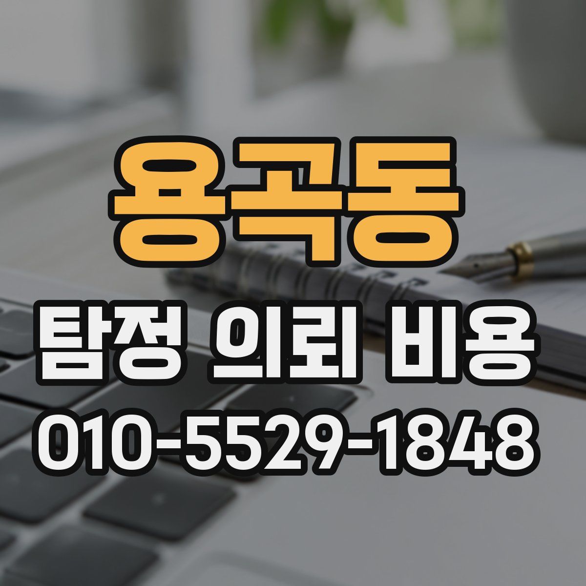 용곡동 탐정 의뢰 비용