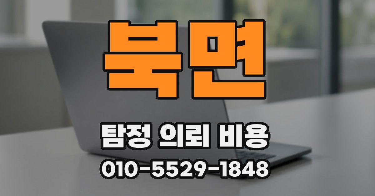 북면 탐정 의뢰 비용
