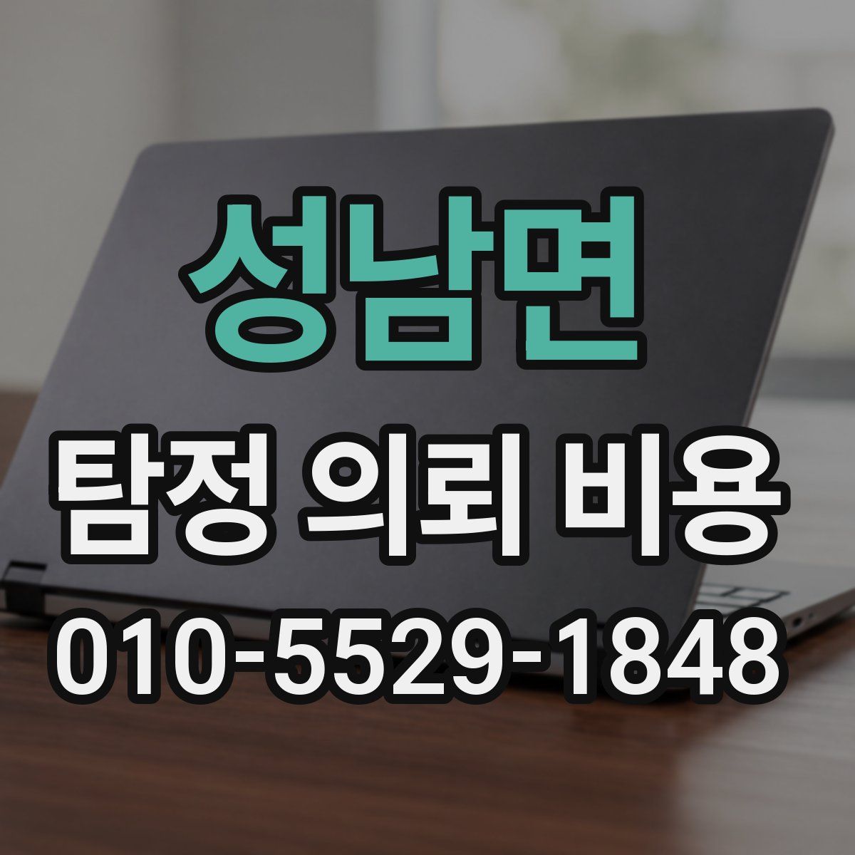 성남면 탐정 의뢰 비용