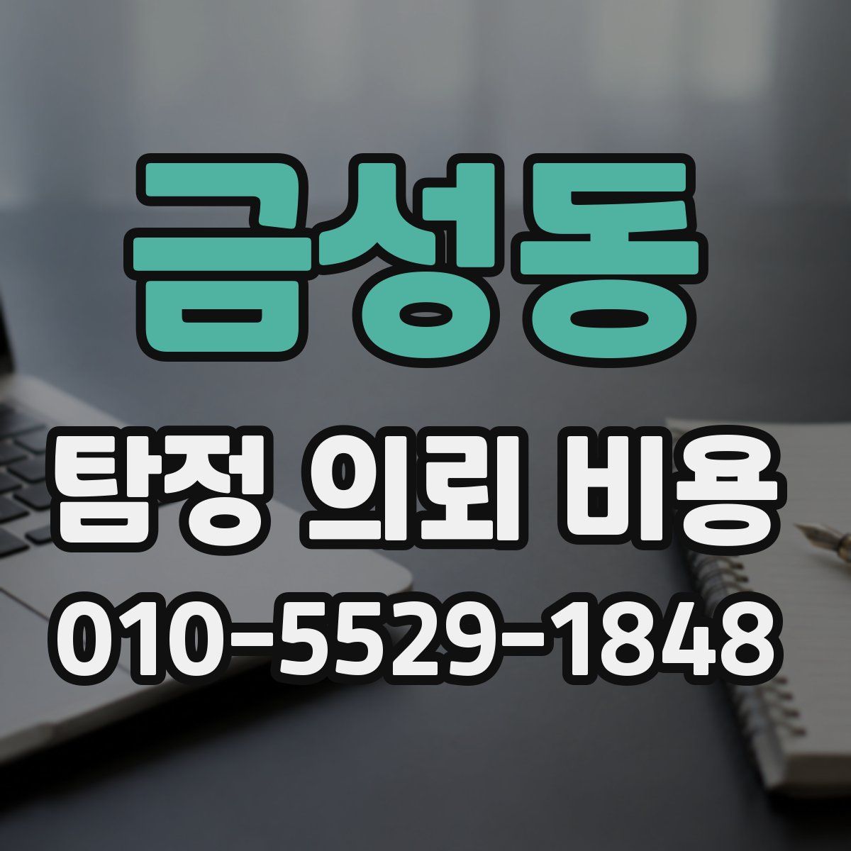 금성동 탐정 의뢰 비용