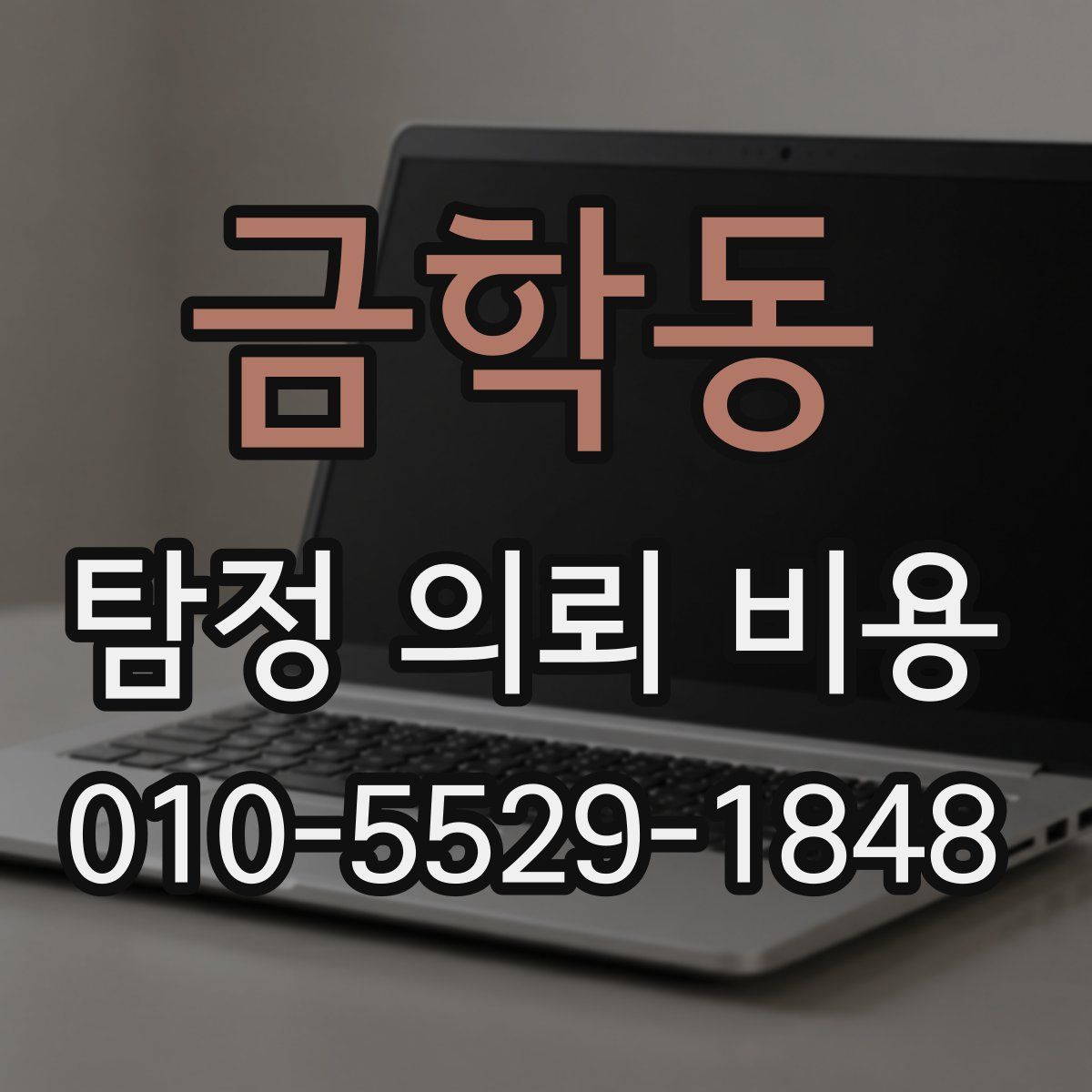 금학동 탐정 의뢰 비용