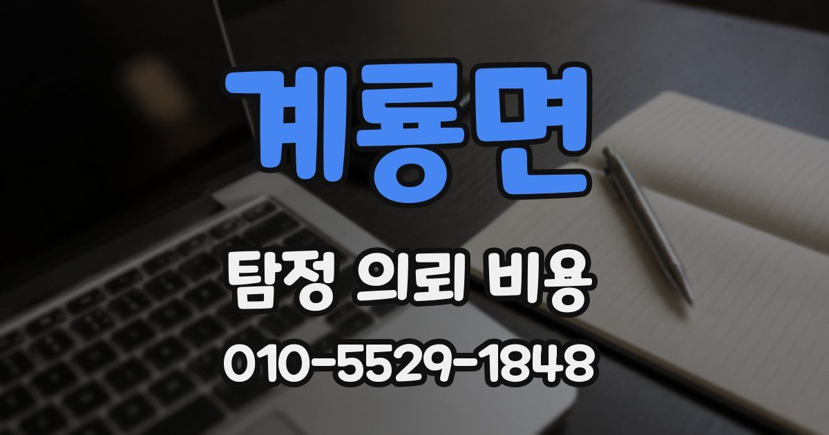 계룡면 탐정 의뢰 비용