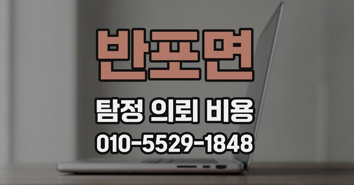 반포면 탐정 의뢰 비용