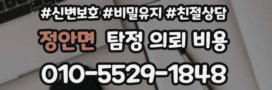정안면 탐정 의뢰 비용