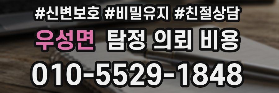 우성면 탐정 의뢰 비용