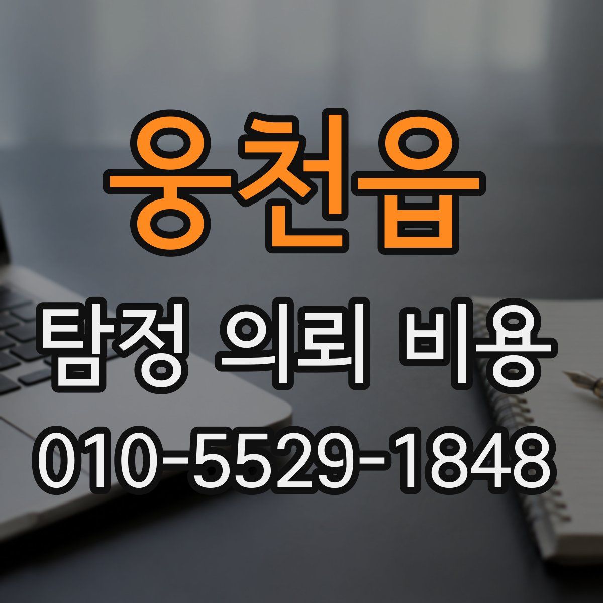 웅천읍 탐정 의뢰 비용