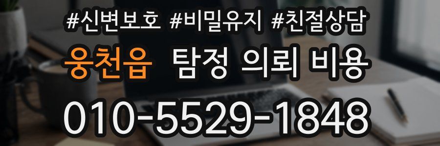 웅천읍 탐정 의뢰 비용