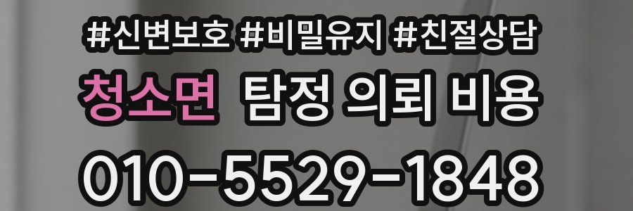 청소면 탐정 의뢰 비용