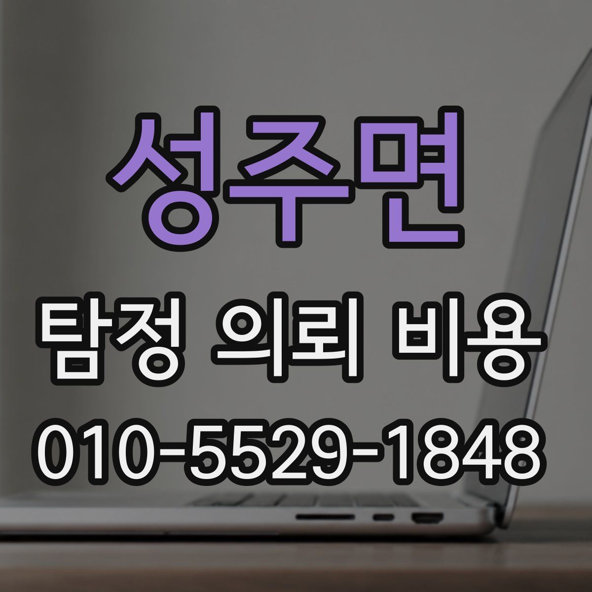 성주면 탐정 의뢰 비용