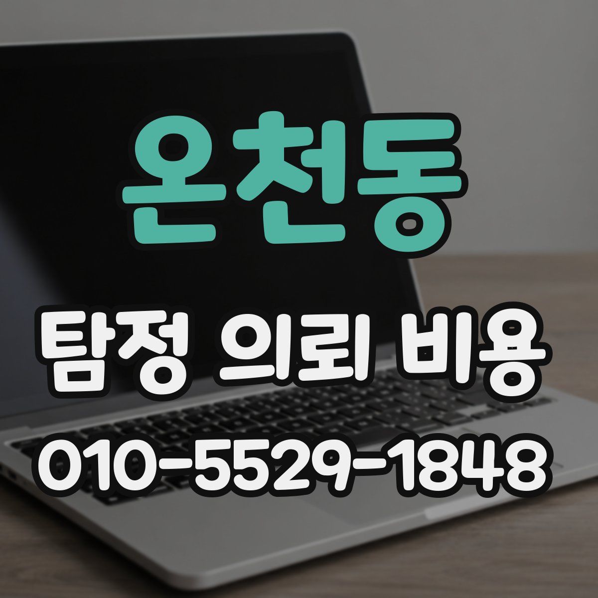 온천동 탐정 의뢰 비용