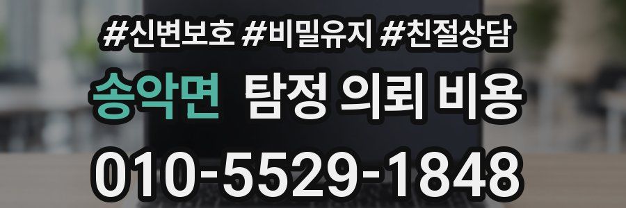 송악면 탐정 의뢰 비용