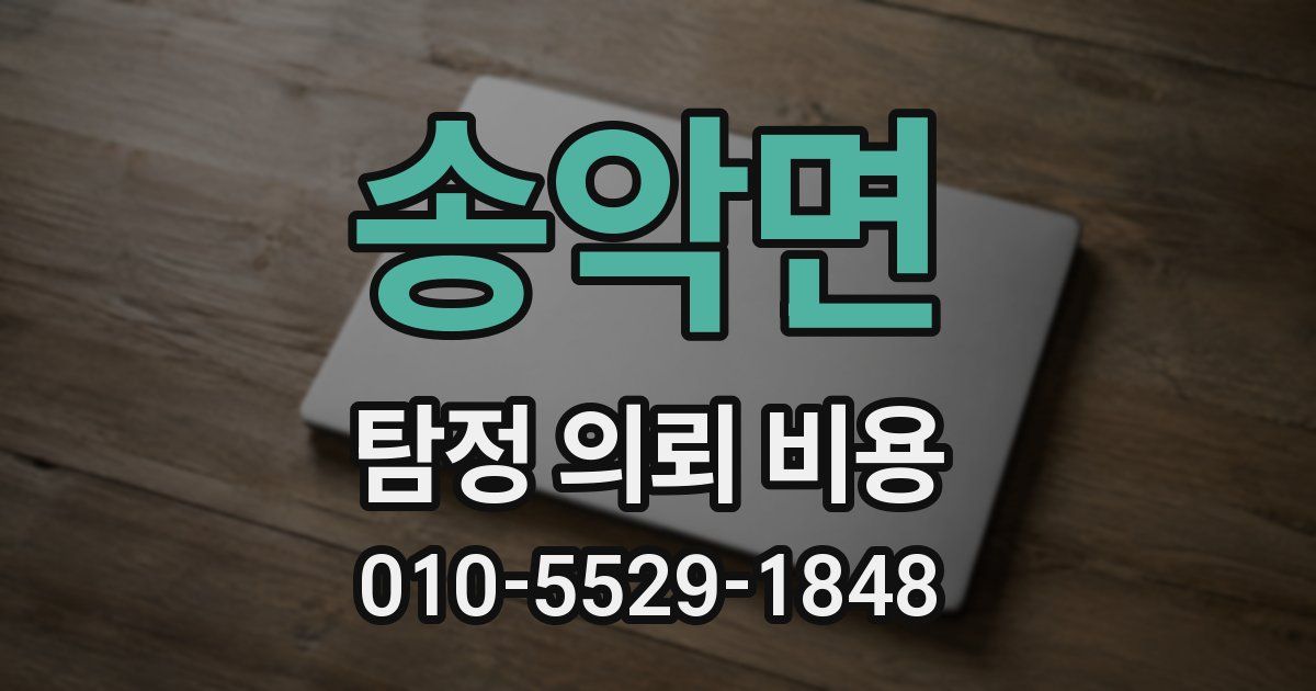송악면 탐정 의뢰 비용