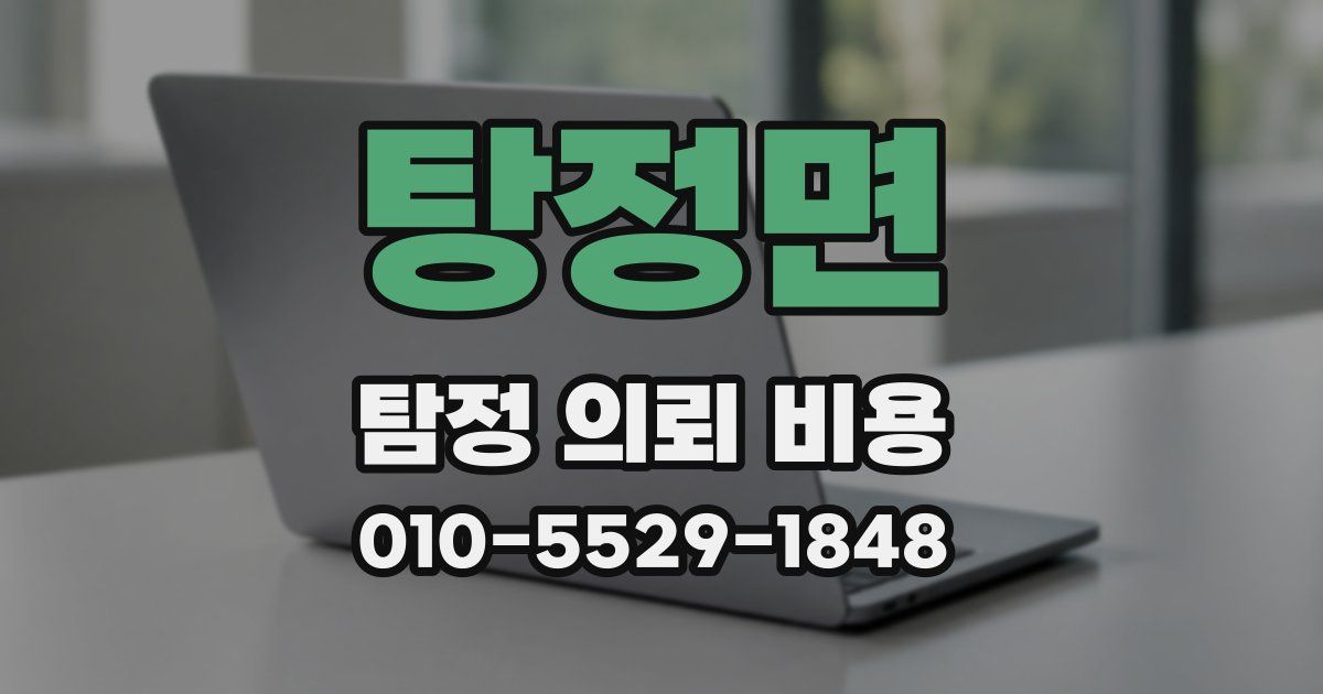 탕정면 탐정 의뢰 비용