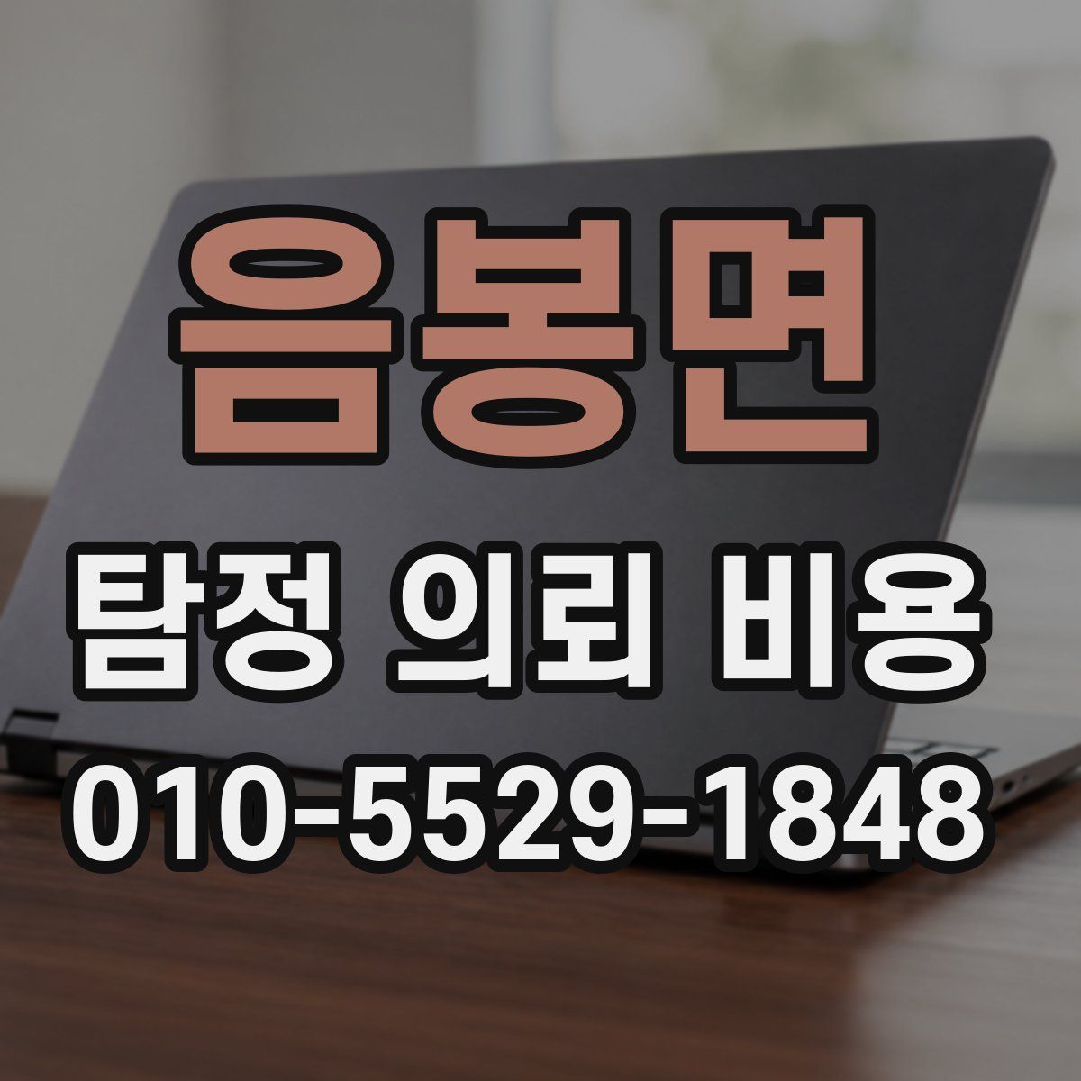 음봉면 탐정 의뢰 비용