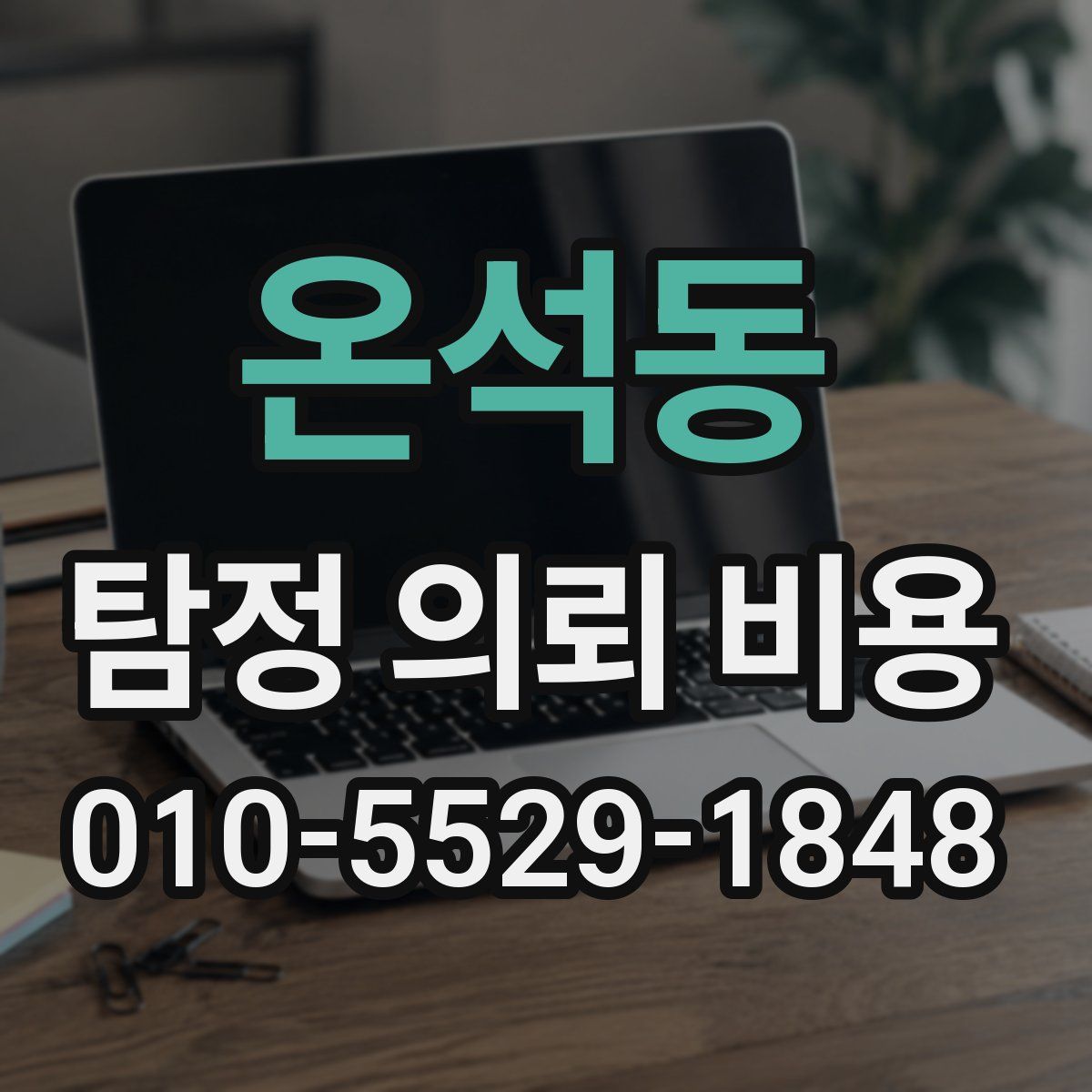 온석동 탐정 의뢰 비용