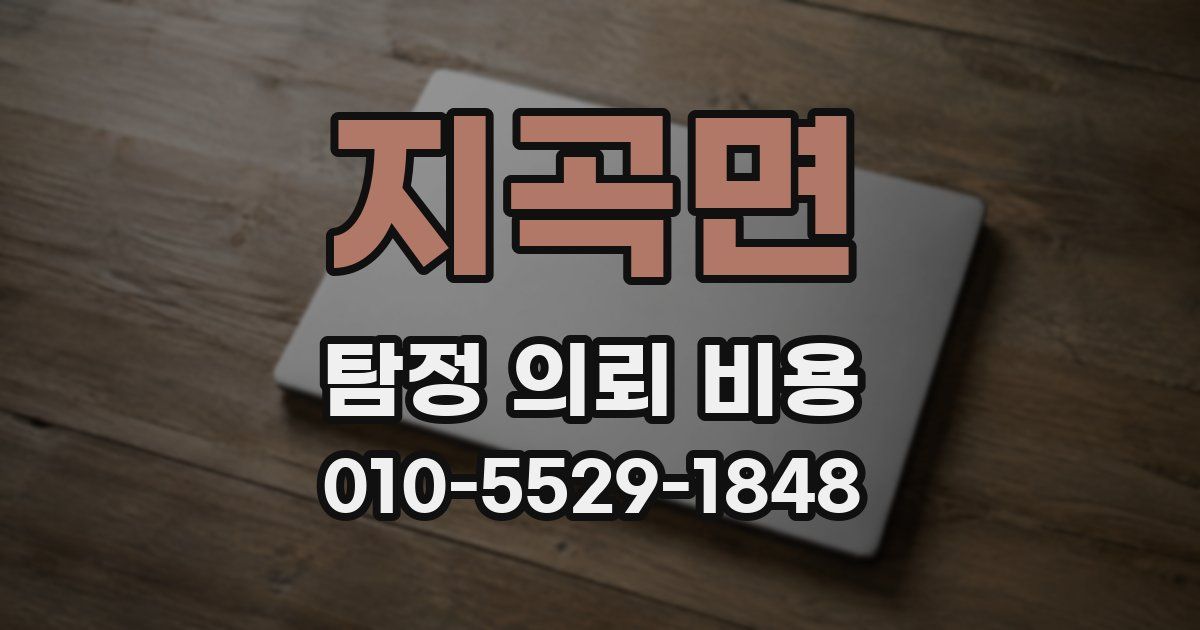 지곡면 탐정 의뢰 비용