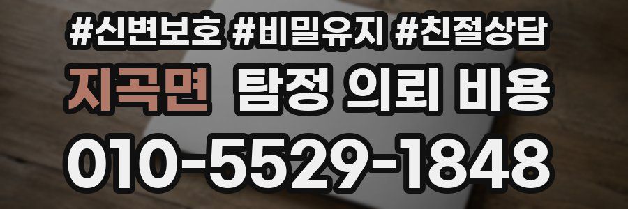 지곡면 탐정 의뢰 비용