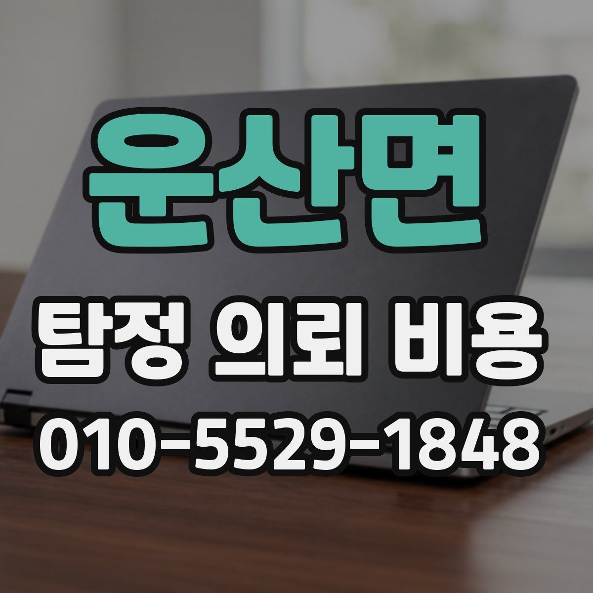 운산면 탐정 의뢰 비용