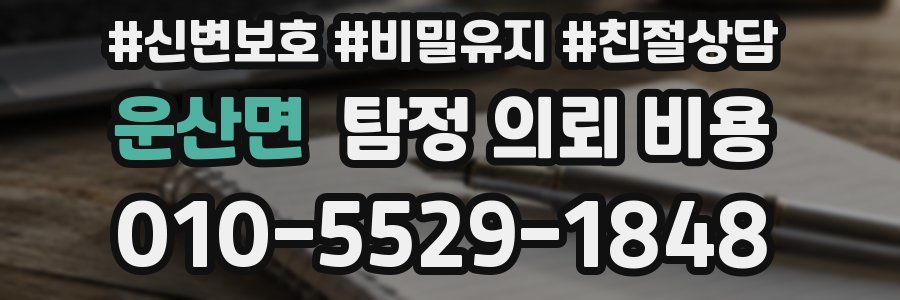운산면 탐정 의뢰 비용