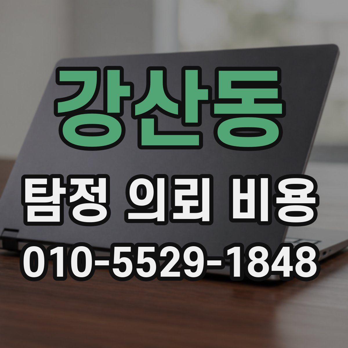 강산동 탐정 의뢰 비용
