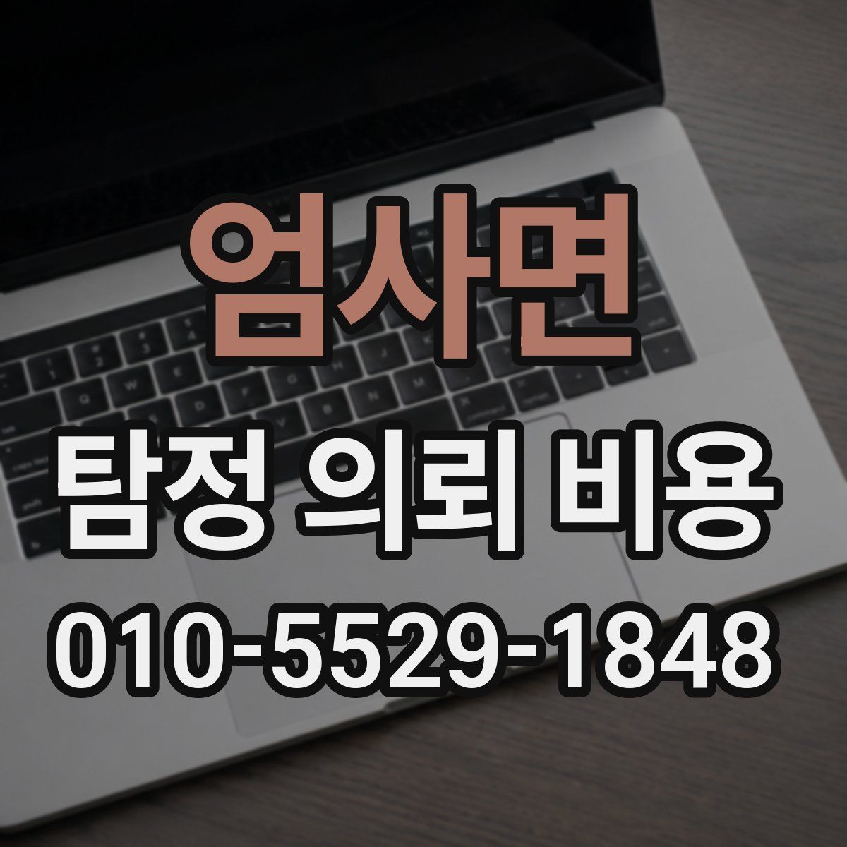 엄사면 탐정 의뢰 비용