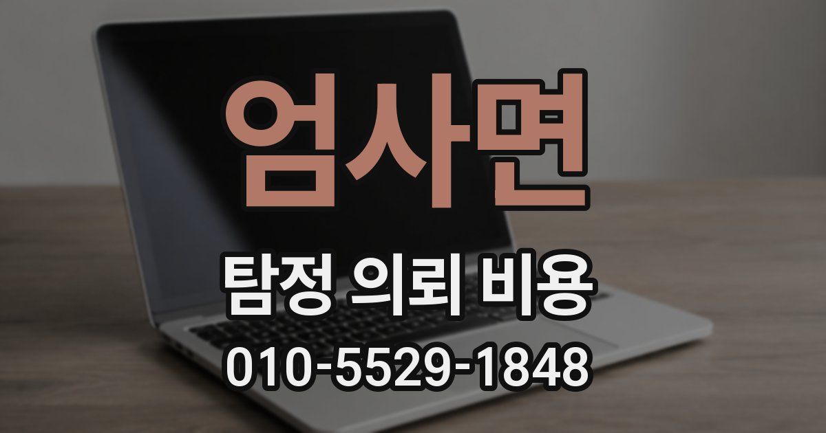 엄사면 탐정 의뢰 비용