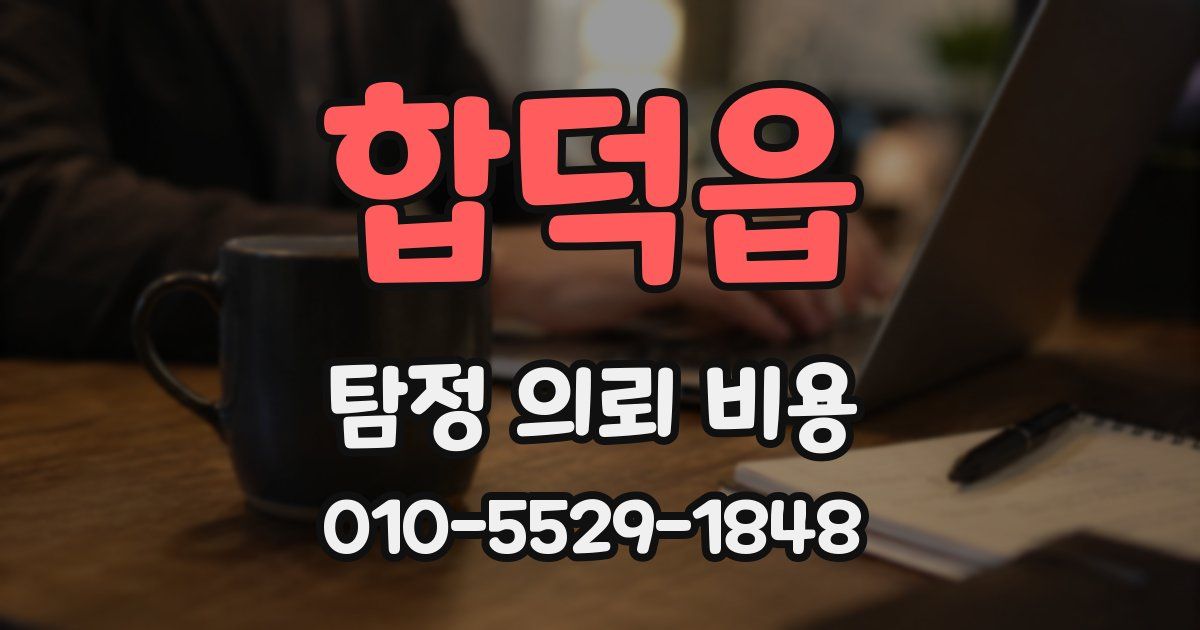합덕읍 탐정 의뢰 비용
