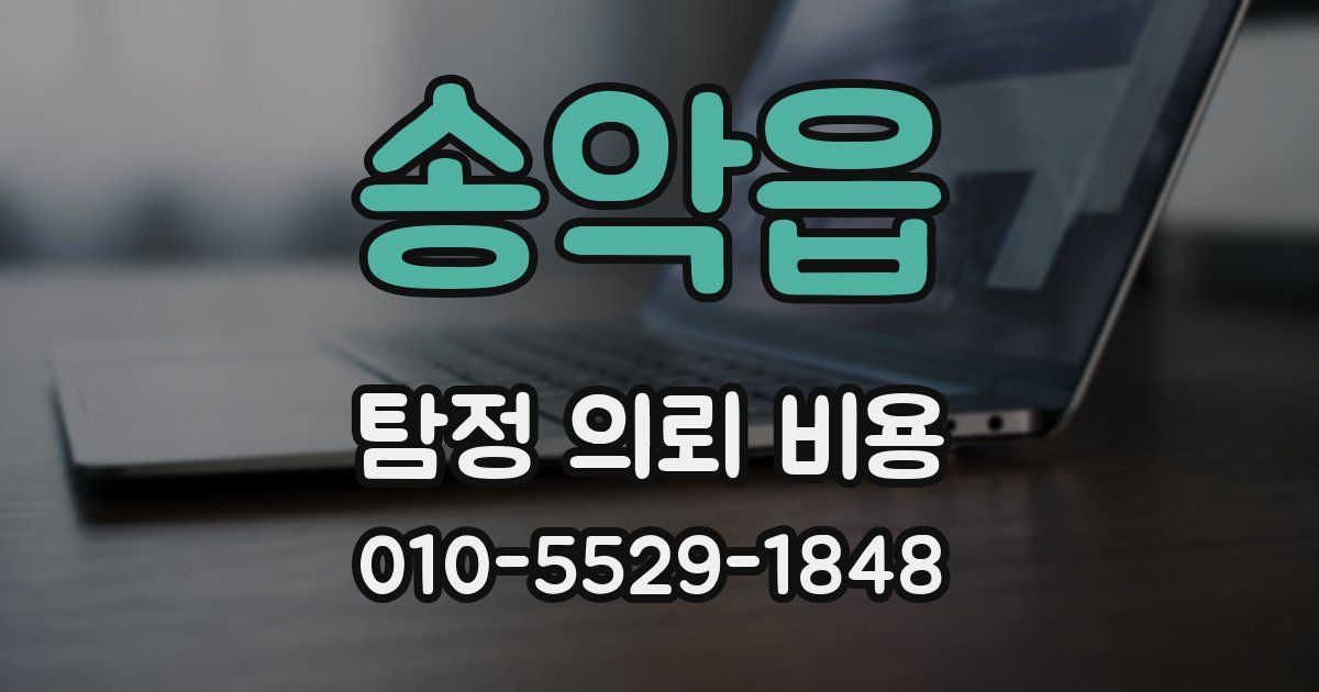 송악읍 탐정 의뢰 비용