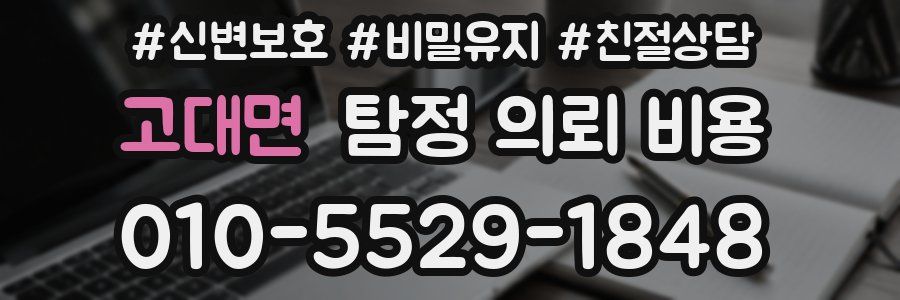 고대면 탐정 의뢰 비용